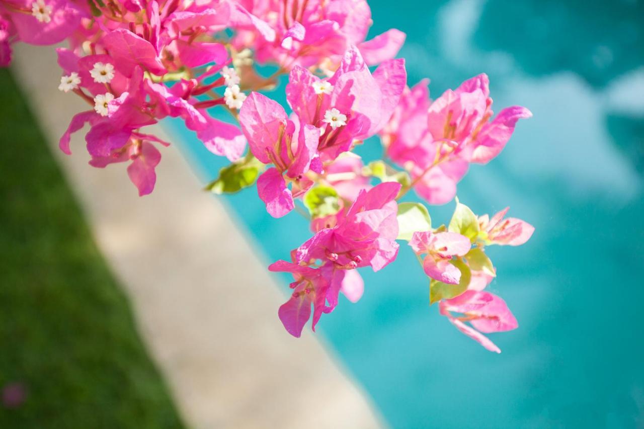 The Bingin Beach Villas' Private Villas 乌鲁瓦图 外观 照片